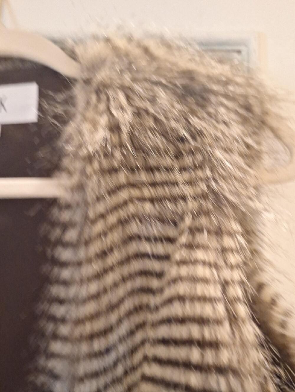 Jack by BB Dakota Faux Fur Striped Vest in Gray and dark Brown - Picture 7 of 8